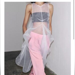 ZW collection Semi Sheer Dress